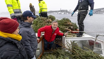 Rickard Sjöberg på en båt full med granar.
