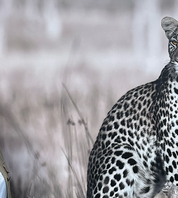 Fotografen Jytte Fredholm Ferreira fram ett fotografi av en leopard.